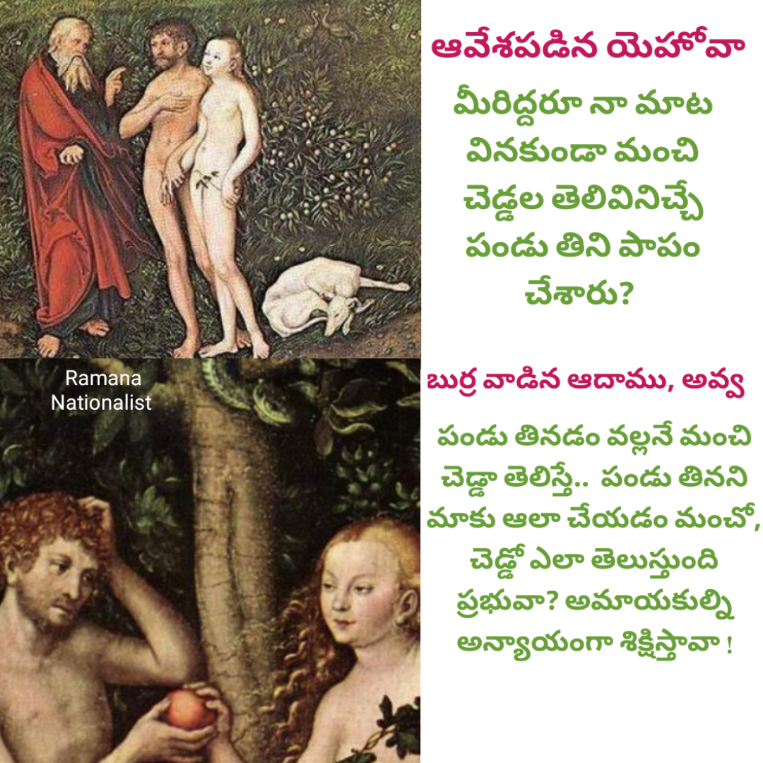 Adams logics