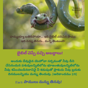 Snakes Don't Eat Dust