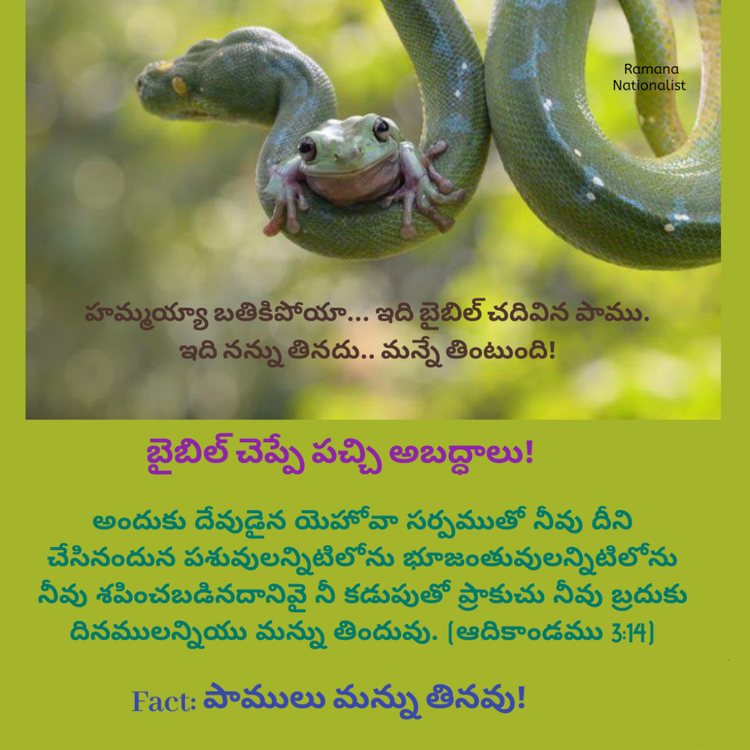 Snakes Don't Eat Dust