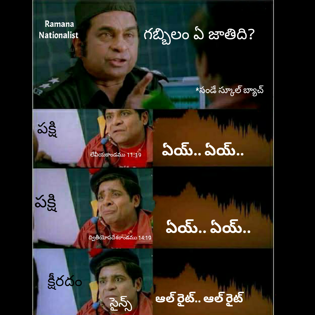 గబ్బిలం గురించి బైబిల్ చెప్పిన అబద్దం