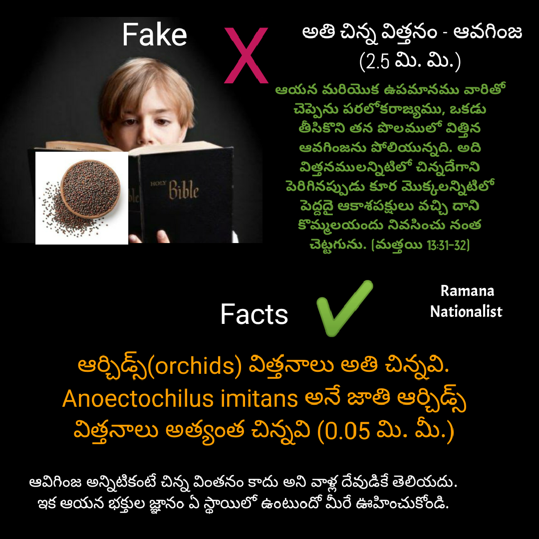 అతి చిన్న విత్తనం ఆవగింజ?