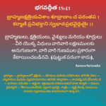స్వభావరీత్యా మనిషికి లభించిన 4 వర్ణాలు - వివరణ