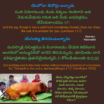 పంది మాంసం నిషేదించిన యెహోవా