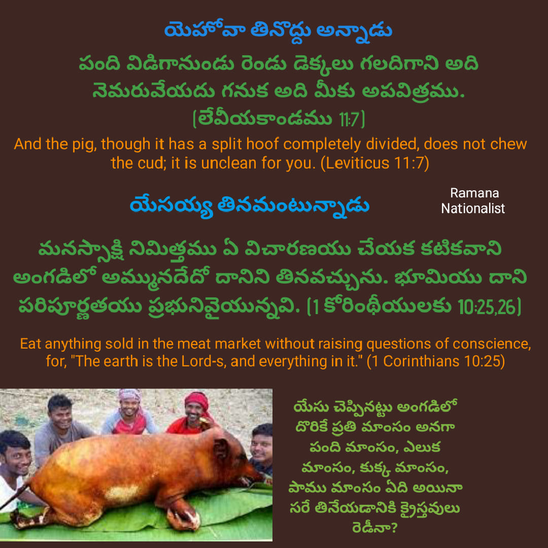 యెహోవా పరిశుద్ధుడు కాబట్టి పంది తినొద్దు అన్నాడు. మరి ఏసు పరిశుద్ధుడు కాదు కాబట్టి పంది తినమన్నాడా?